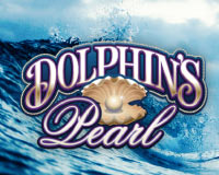 Dolphins Pearl